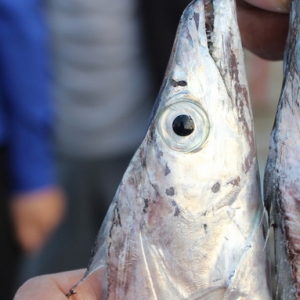 ���o������������N���~���܌�헙z�飡