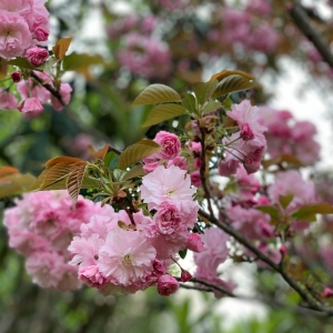 APP�W�����D�������]��һ���y�Î�����