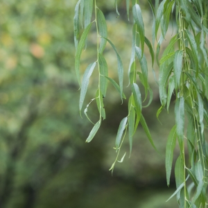 �������Е������¹ڷ��ײ�������