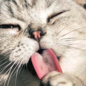 ��W��؜�uŰ؈ҕ�l ��80ֻ����؈������