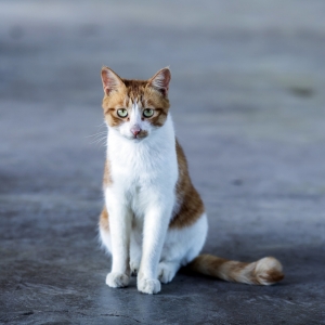 ��W(xu��)��Ű؈�¼����m(x��)����