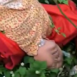 50���׸�ɽ���䣡�@λ�o(w��)�a������������