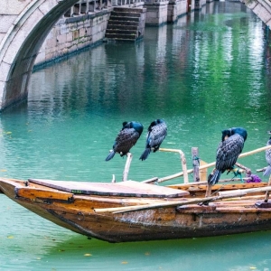 �vʷ�ƾ��˽ܵ��` �W����ͬ�����S��