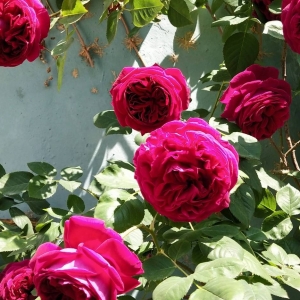 ���Ռ��� �¼�Խ�_Խ��