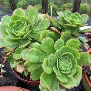 �W(w��ng)�ѷ���������Ҽҵ�¶�B(y��ng)����