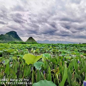 �W(w��ng)���L(f��ng)�����ķ�������ɽ���ߺ�