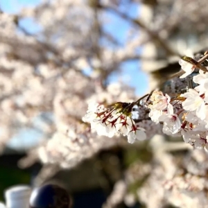 ���ڳ��П��c(di��n)�������� �����Ą�(d��ng)�������ǆ᣿