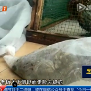 ��Ĳ����ٳ��� ����˶����Ѱɣ�