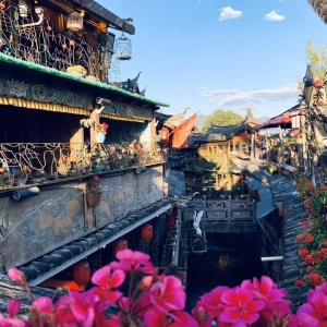 APP�W(w��ng)�������S�ģ��������(zh��n)����