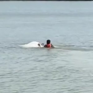 �@�U�����һŮ�����ͥì���_܇�_�M����