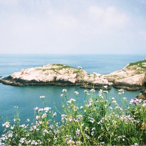 �W(w��ng)������������;�L(f��ng)������ɽ ���B(ni��o)�u