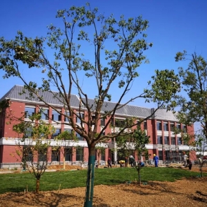 ���������У�^�����M����β�A��