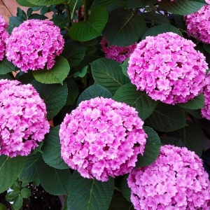 �W�ѷ������] ���NƷ��C��