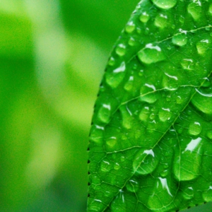 �A(y��)�����������ȫ�����������꣡