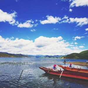 APP�W�����������D���� ���{�Ğo����