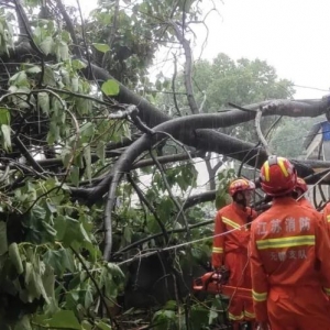 �°l������ɿô����������ƽ�� ��̝...