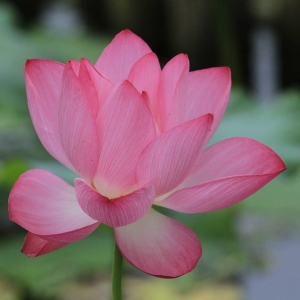 �W(w��ng)����Ʒ����퍡� �����³�����ˮ�f