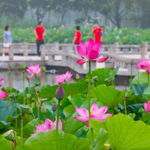 ���ĺɻ��_ ���ʢ�����^���