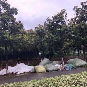 ���һ��܇˾�C(j��)���P��28000Ԫ��