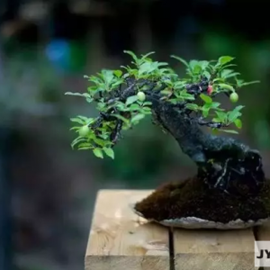 ���B�~�x��K��Ʒ�����P��СƷ�辰