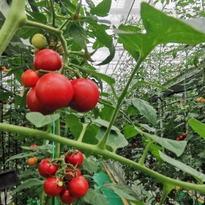 �m���r���@�_�_�۽� �ゃȥ�^�᣿