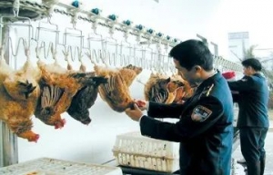 ��ҕ�l�� �K�ڶ��ˣ��@�N���� ��ȡ��