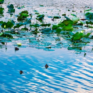 �L�����箋 �W���Дz��ɽ�����������c