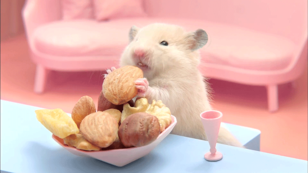 ���A�������K�����؄e���ѣ�