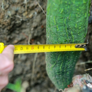 Ҋ�^����߀�ߵĽz�ϛ]������@��һ��