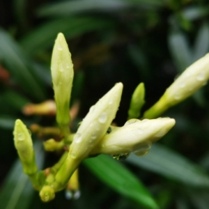 �W(w��ng)�ѷ���Ȧ�S�� ������Ȼ��ϴ�Y