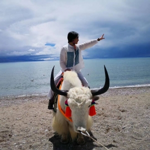 �W(w��ng)�ѷ��������Σ�̫�ϰa���ڴ��»�ȥ