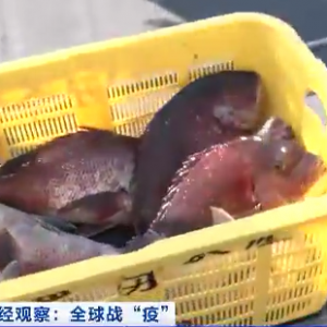 ���N���� �����؄��ձ�ˮ�a�I