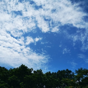 �W�ѷ���Ȧ�S�� �{����ƶ������ڶ���