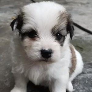 ����ꖾW�����I�B�ڶ��ڡ�؈؈�������㎧�ؼ�