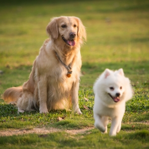 �����BȮ�������Є�����������Ȯ1800��ֻ