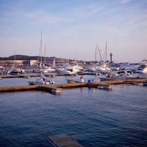 ɽ�|���u��12�����ξ��^ ���������M��