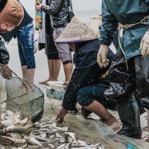 �L�������� �O����ô�k���@��֪ͨ���ˣ�