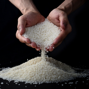 ��ֹ������M���˴�M�������̼��ơ���ݲˡ�