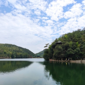 APP�W�ѷ���Ȧ���ģ����d������