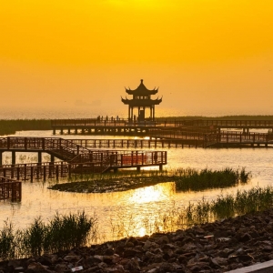 �zӰ��W�ь��ģ����Ҹ۞��ճ�