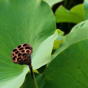 ��Ӱ�Mб���ټt �ݺ��뮋�����