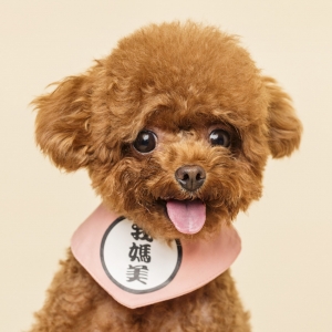 �����B���Ľ����ע���ˣ�