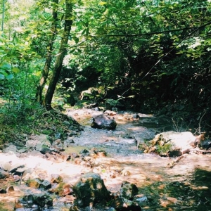 �W���֙C�S����Ʒ������Ǻ���