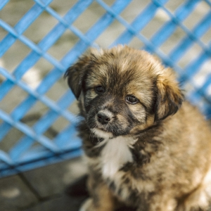 ���˹����Խ���ι�᣿������ ���r�X