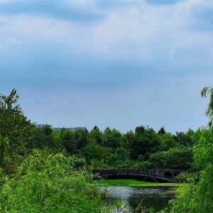 �W�ѷ���Ȧ�S�� ��ɽ�����@����