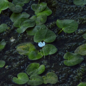 �W�ѷ���Ȧ�S�� ����Ĕ�ɽ��