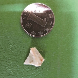 ������Ӛ�܆��Mз�� �t��5��犽�Q