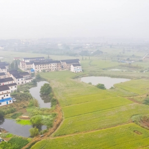 �F���ɵ��糿 ��ꎵ��r�����