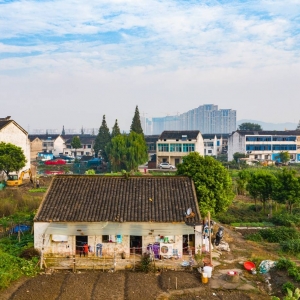 �W(w��ng)�Ѻ�����@�L����Ʒ ��ͤ���f��