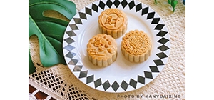 ���ǹ��l�� �W������������D����